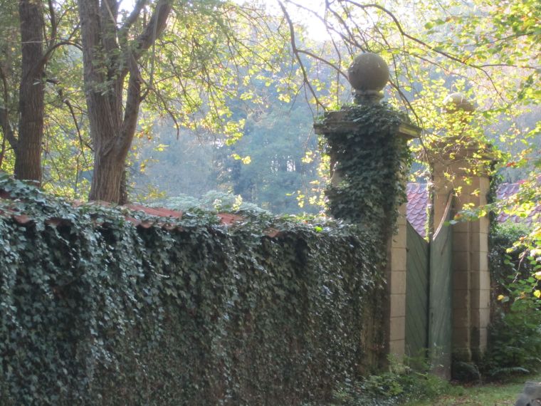 Orangerie Sans Regret