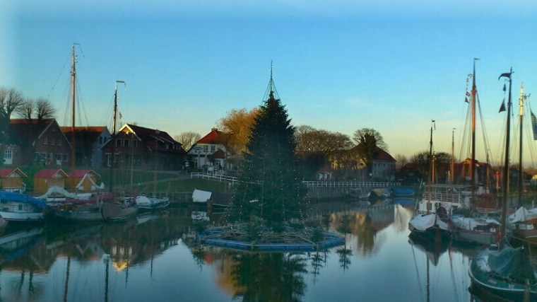 carolinensieler-weihnachtsbaum