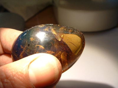 blauer-bernstein-mit-mucke