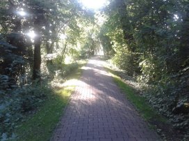 Ostfriesland_Wanderweg_Allee