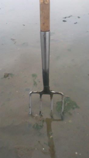 Die Claims werden gesteckt