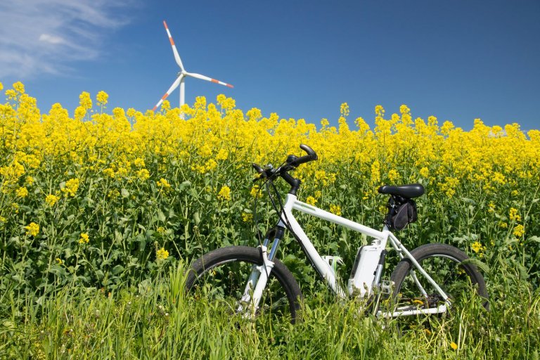 E-Bike im Rapsfeld